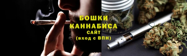 PSILOCYBIN Алзамай