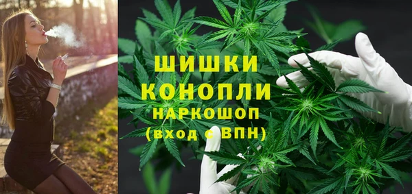 PSILOCYBIN Алзамай