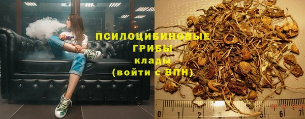 сатива Семилуки