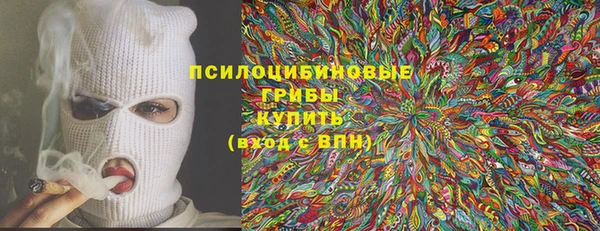 PSILOCYBIN Алзамай